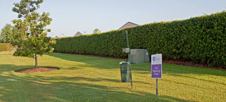 休斯顿-NASA克利尔莱克索尼斯塔简单套房酒店(Sonesta Simply Suites Houston – NASA Clear Lake)图片