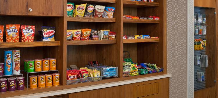 SpringHill Suites Lansing图片