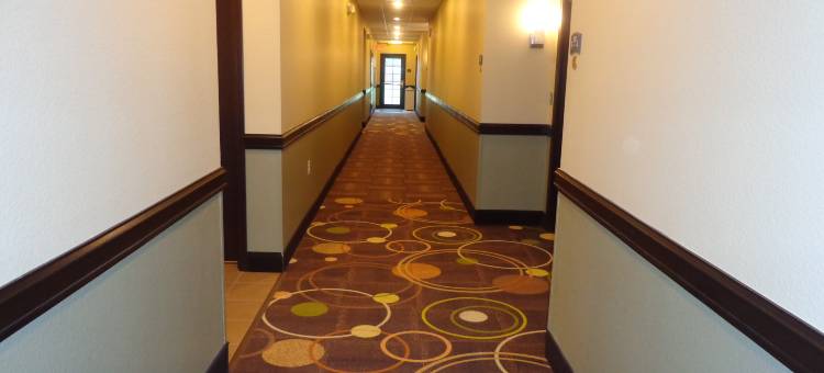 Staybridge Suites 朗维尤by IHG(Staybridge Suites Longview)图片