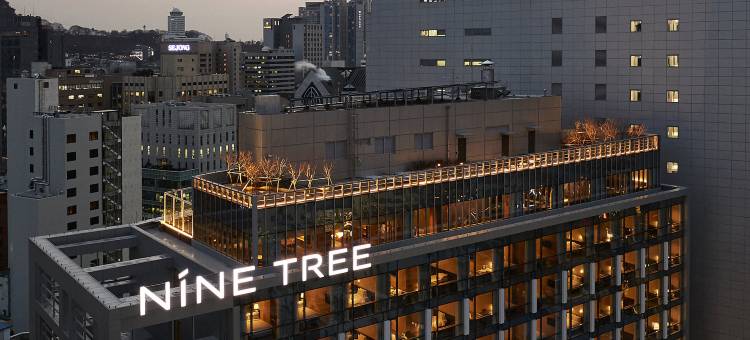 九树帕那斯首尔明洞 2(NINE TREE BY PARNAS SEOUL MYEONGDONG 2)图片
