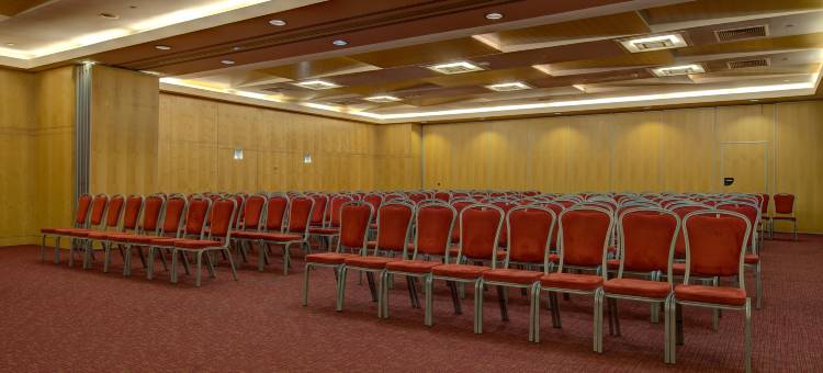 伊克斯休缇维茵特瑞卡姆波斯会议VIP酒店(VIP Executive Entrecampos - Hotel & Conference)图片