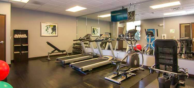 卡尔斯巴德/圣地亚哥假日酒店(Holiday Inn Carlsbad - San Diego)图片