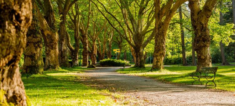 圣纳泽尔阿奎隆原创精品酒店(The Originals Boutique Hôtel Aquilon Saint-Nazaire)图片