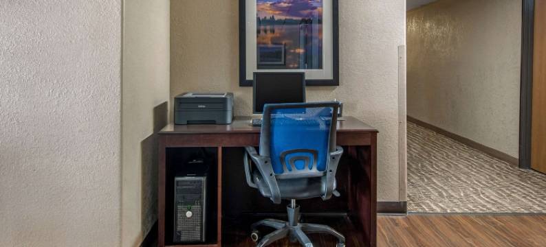 丹佛东南区舒适酒店(Comfort Inn Denver Southeast Area)图片