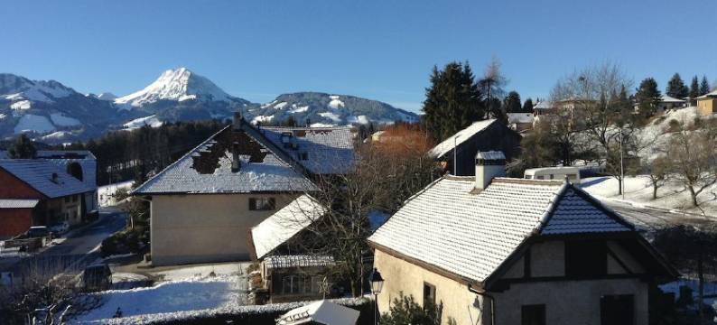 拉戈鲁耶利安餐厅酒店(Hôtel Restaurant le Gruyérien)图片