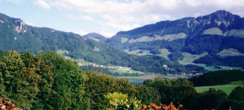 拉戈鲁耶利安餐厅酒店(Hôtel Restaurant le Gruyérien)图片