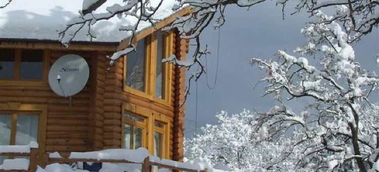 青松小屋酒店(The Green Pine Chalet)图片