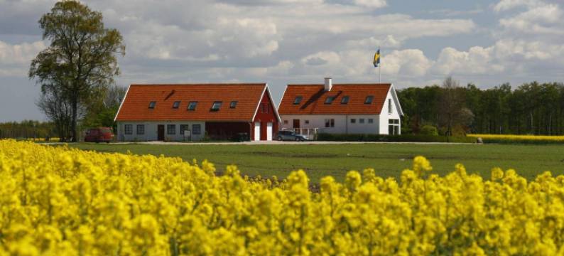 豪币克洛克住宿加早餐酒店(Hobykrok B&B)图片