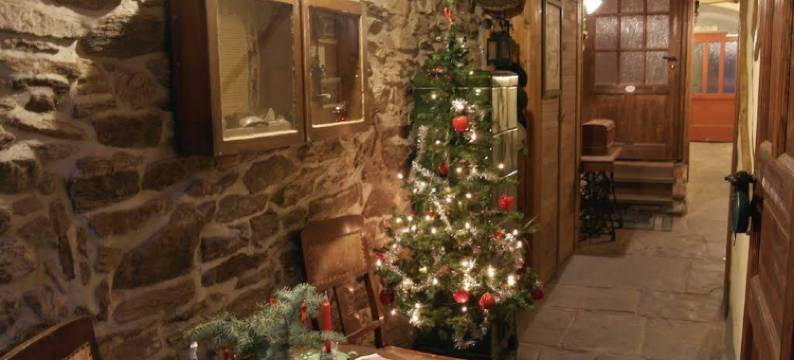 阿尔特斯辛特豪塞尔公寓(Apartment Altes Hinterhäusel)图片