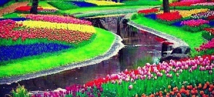 Hotel Terminus图片