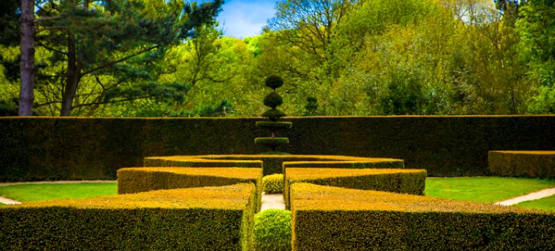 德拉巴鲁酒庄酒店(Château de La Ballue - Teritoria)图片