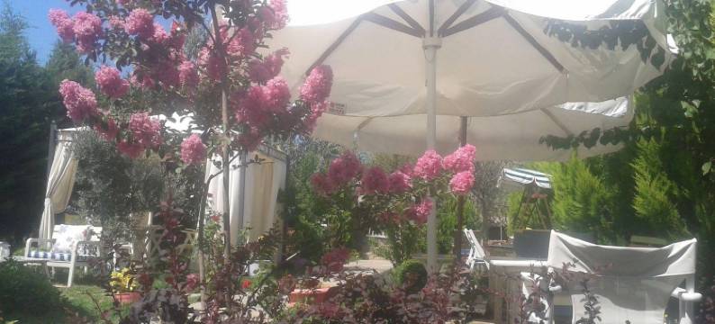 爱琴韩酒店(Ege HAN Hotel)图片