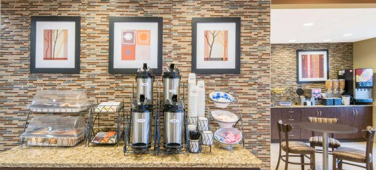 北坎顿麦客达套房酒店(Microtel Inn & Suites by Wyndham North Canton)图片