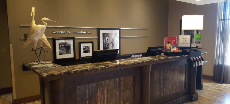 悉尼欢朋酒店(Hampton Inn by Hilton Sydney)图片