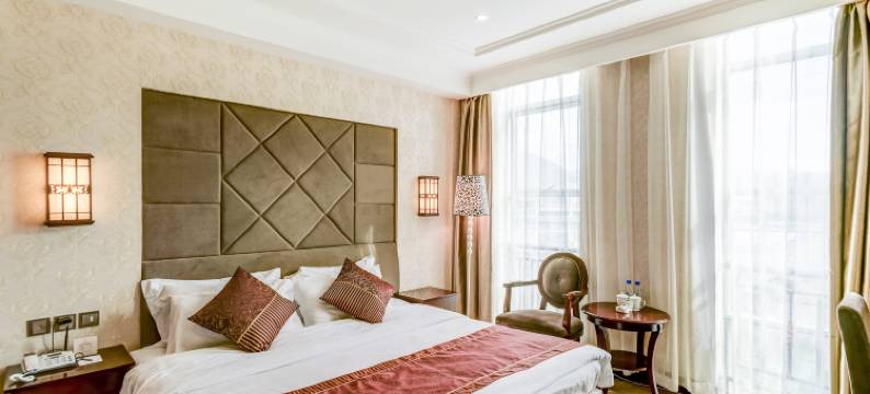 林芝泓天大酒店图片