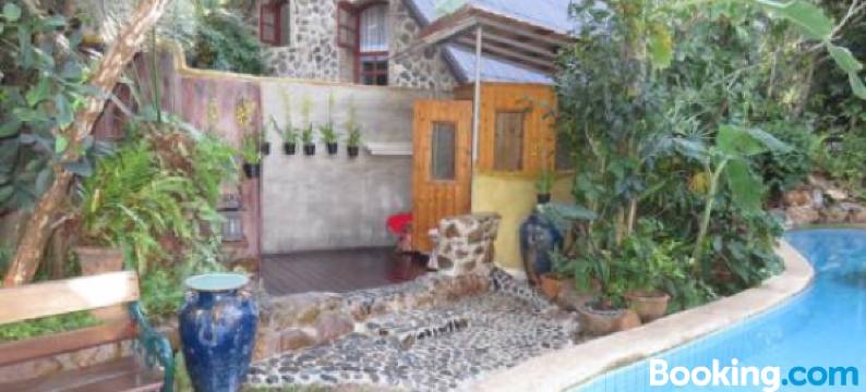 小伊甸园宾馆(Little Eden Guesthouse)图片