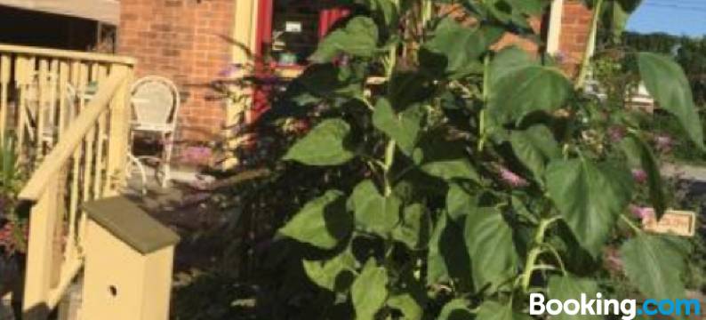 Loyalist Lofts图片