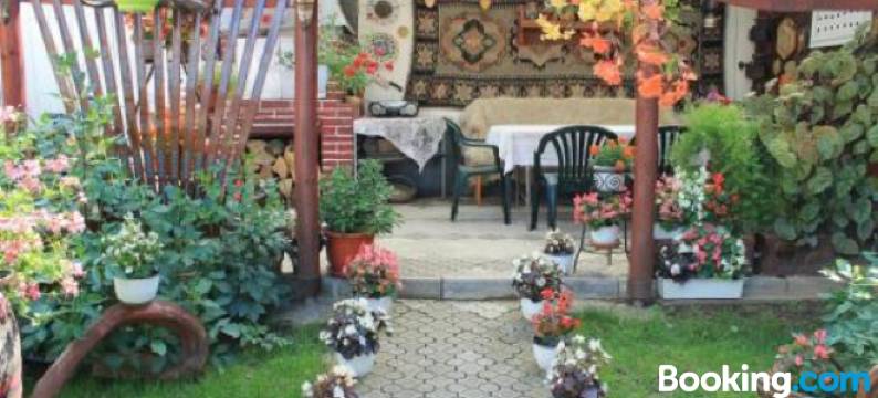 Pensiunea Alecsandra图片