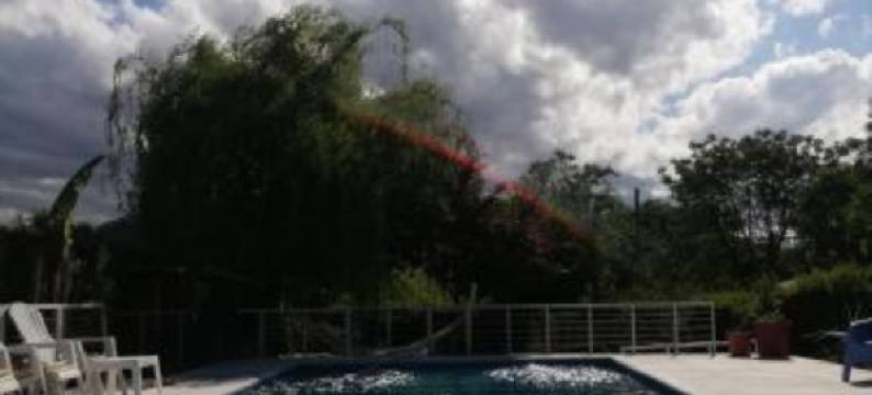 Algarrobos del Mirador图片