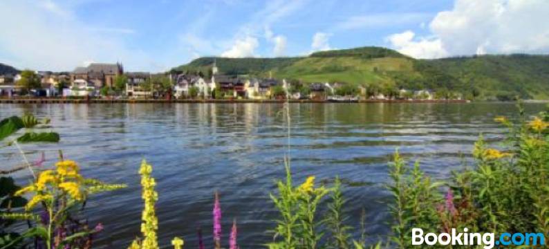 豪斯曼旅馆(Ferienweingut Villa Hausmann)图片