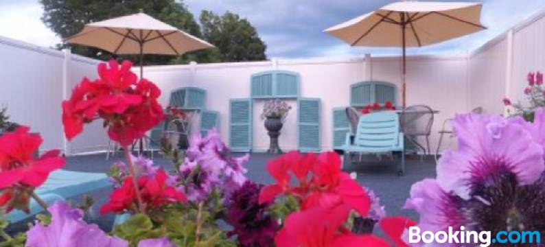 温莎汽车旅馆(Windsor Motel)图片