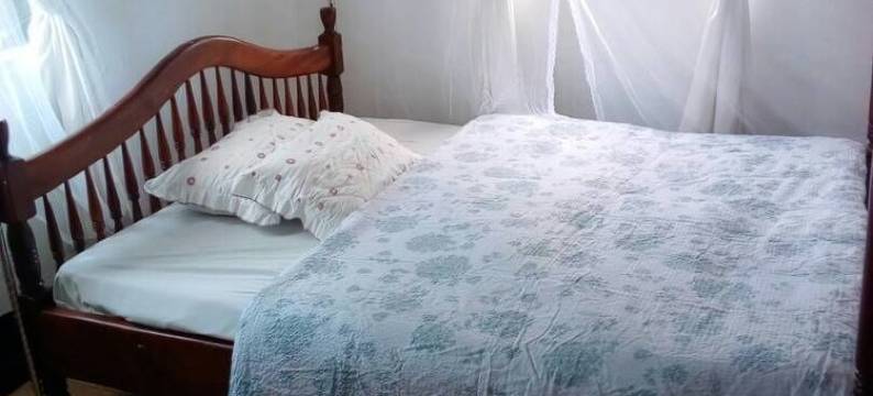 瑞娜阿卡莎酒店(Rena Akasha Establishments)图片