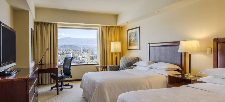 门多查喜来登酒店(Sheraton Mendoza Hotel)图片