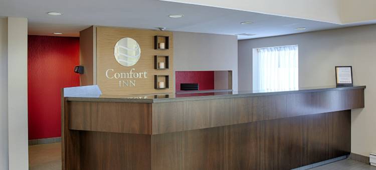 舒适酒店(Comfort Inn Thetford Mines)图片