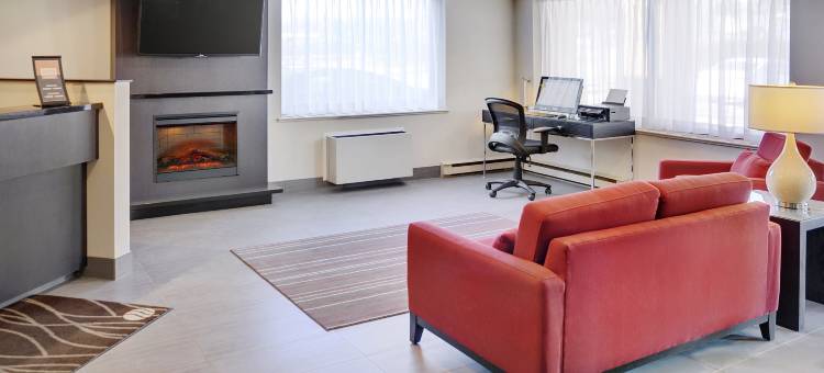 皮克林舒适酒店(Comfort Inn)图片