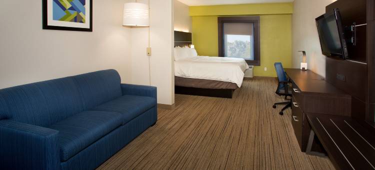 洲际酒店集团智选假日酒店及套房夏洛特港(Holiday Inn Express & Suites Port Charlotte, an IHG Hotel)图片