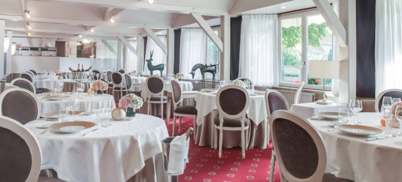 尚蒂利雷莱斯德欧马勒酒店(Hôtel & Restaurant le Relais d'Aumale)图片