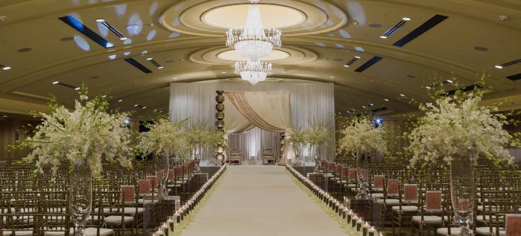 洲际酒店集团皇冠假日酒店路易斯威尔机场博览中心(Crowne Plaza Louisville Airport Expo Ctr)图片