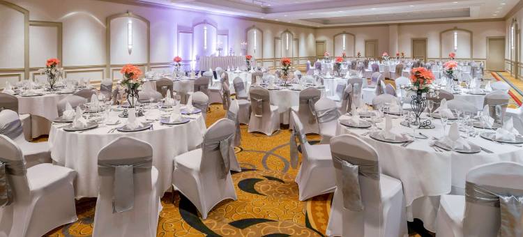 印第安纳波利斯希尔顿套房酒店(Hilton Indianapolis Hotel & Suites)图片