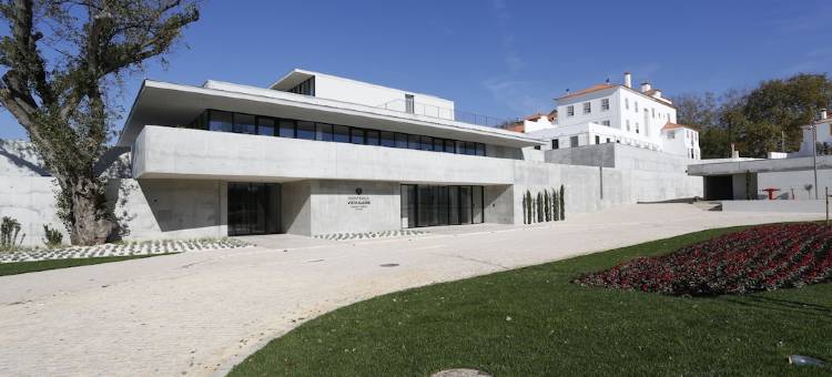 蒙特贝罗伊利亚沃酒店(Montebelo Vista Alegre Ílhavo Hotel)图片