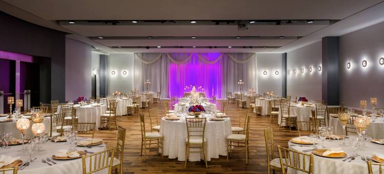 十二中城-傲途格精选(Twelve Midtown, Autograph Collection)图片