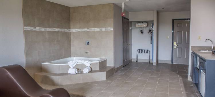 哈灵根丽怡酒店(Country Inn & Suites by Radisson, Harlingen, TX)图片