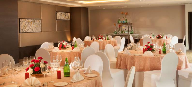 比拉斯布尔丽柏酒店(Park Inn by Radisson Gurgaon Bilaspur)图片