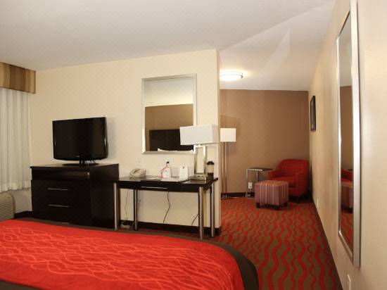 Comfort Inn Los Angeles Near Hollywood Hotel Reviews And Room Rates
