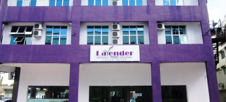 薰衣草酒店(Lavender Hotel)图片