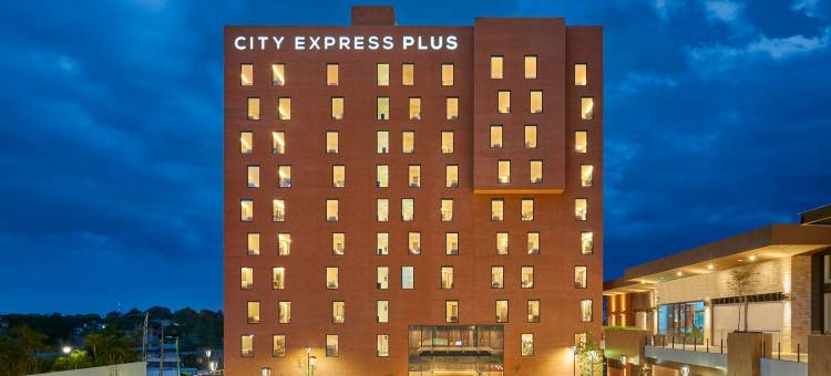 坦皮科万豪城市快捷普拉斯酒店(City Express Plus by Marriott Tampico)图片