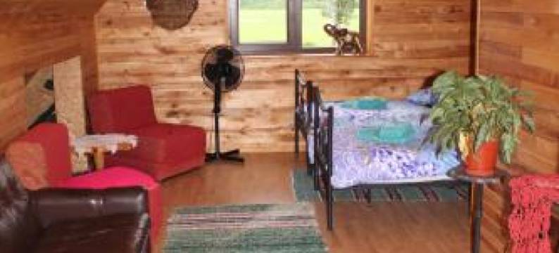 Raamatu Puhkemaja图片