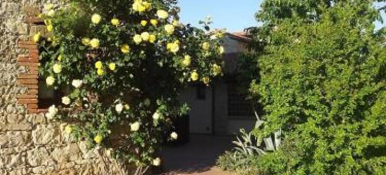 阿格里图丽斯莫加托吉亚罗乡村民宿(Agriturismo Gattogiallo)图片