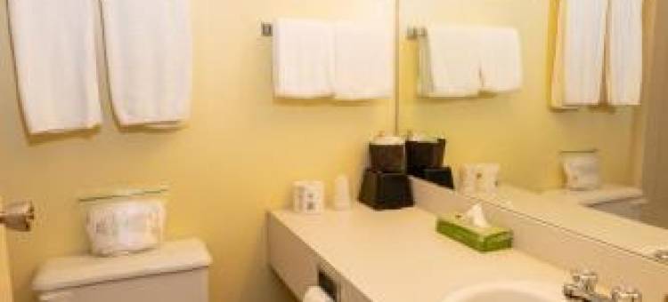 凯斯通汽车旅馆(Keystone Motor Inn)图片