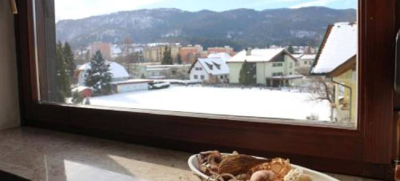 瓦姆巴德公寓酒店(Warmbad Apartments)图片