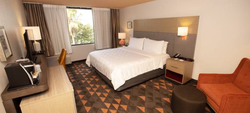 温德姆休斯顿霍比机场酒店(Wyndham Houston Hobby Airport)图片