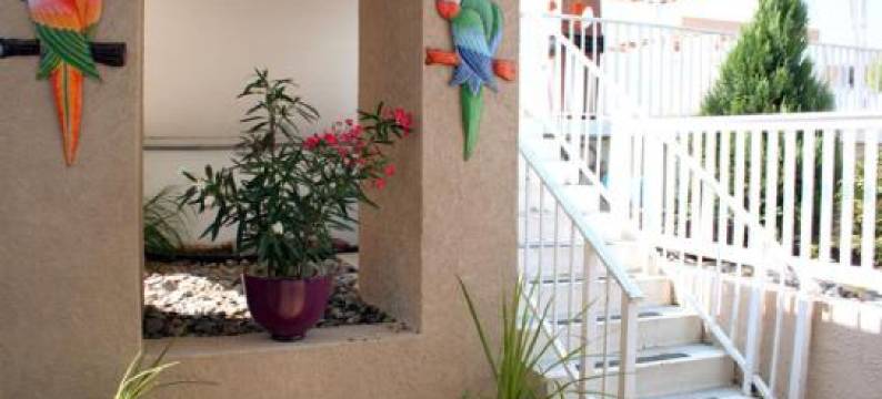 科罗纳多度假酒店(El Coronado Resort)图片