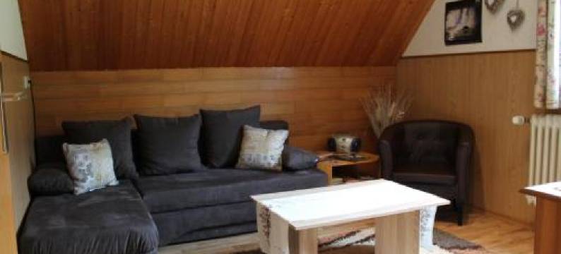 施瓦扎瓦尔德霍夫度假屋(Ferienwohnung Schwarzwaldhof)图片