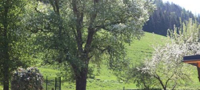 Biohof Schmiedbauer图片