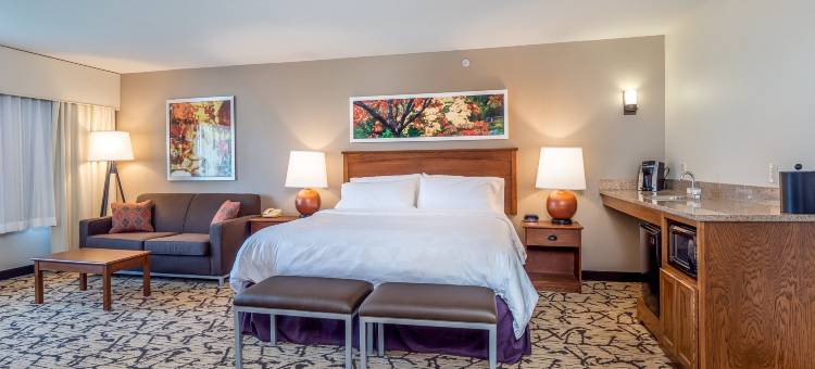 史蒂文斯角假日酒店 - 会议中心(Holiday Inn Stevens Point - Convention Ctr)图片