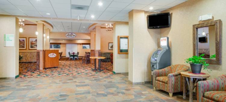 明尼阿波利斯 - 奥茨戈花园温德姆酒店(Wyndham Garden Otsego-Minneapolis)图片